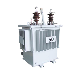 D11 20kV single phase column and oil-immersed distribution transformer